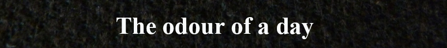 The odour of a day 20.jpg