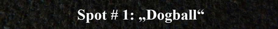 1. Spot Dogball 20.jpg