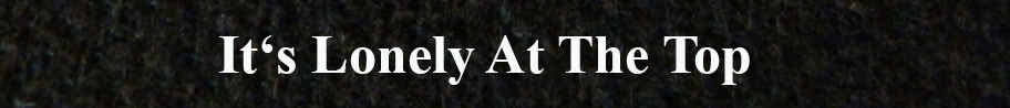 Lonely at the top 20.jpg